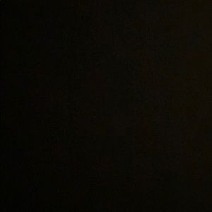 Meet your Posher, Lily